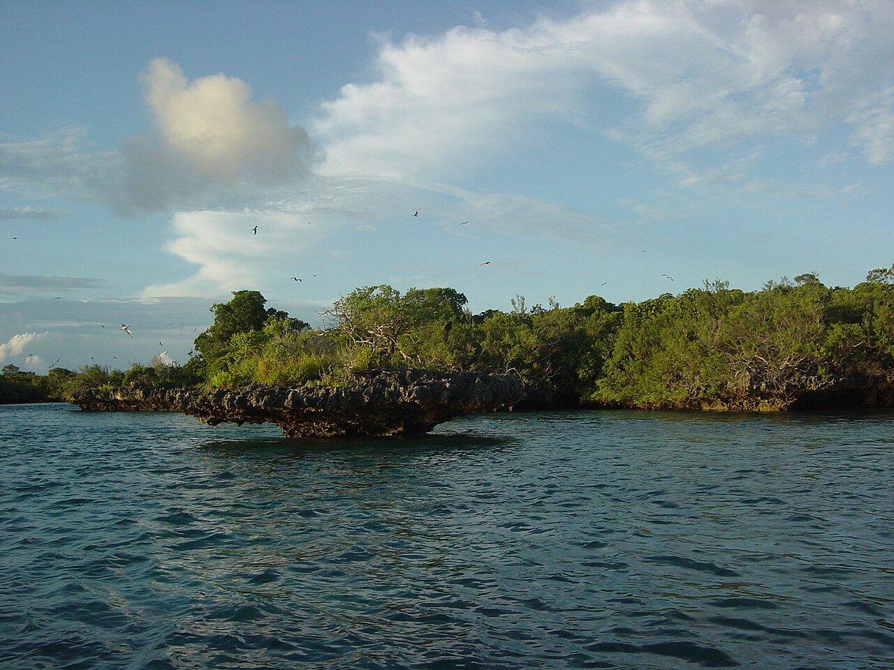 Aldabra, kuva 6