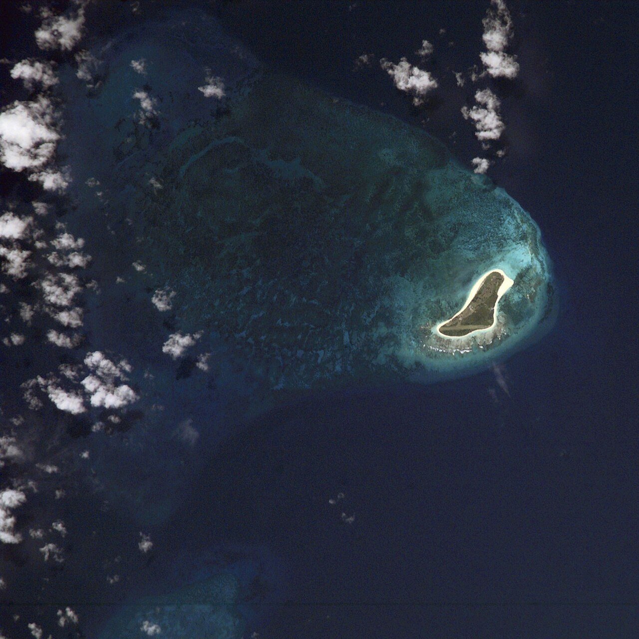 Bird Island, kuva 2