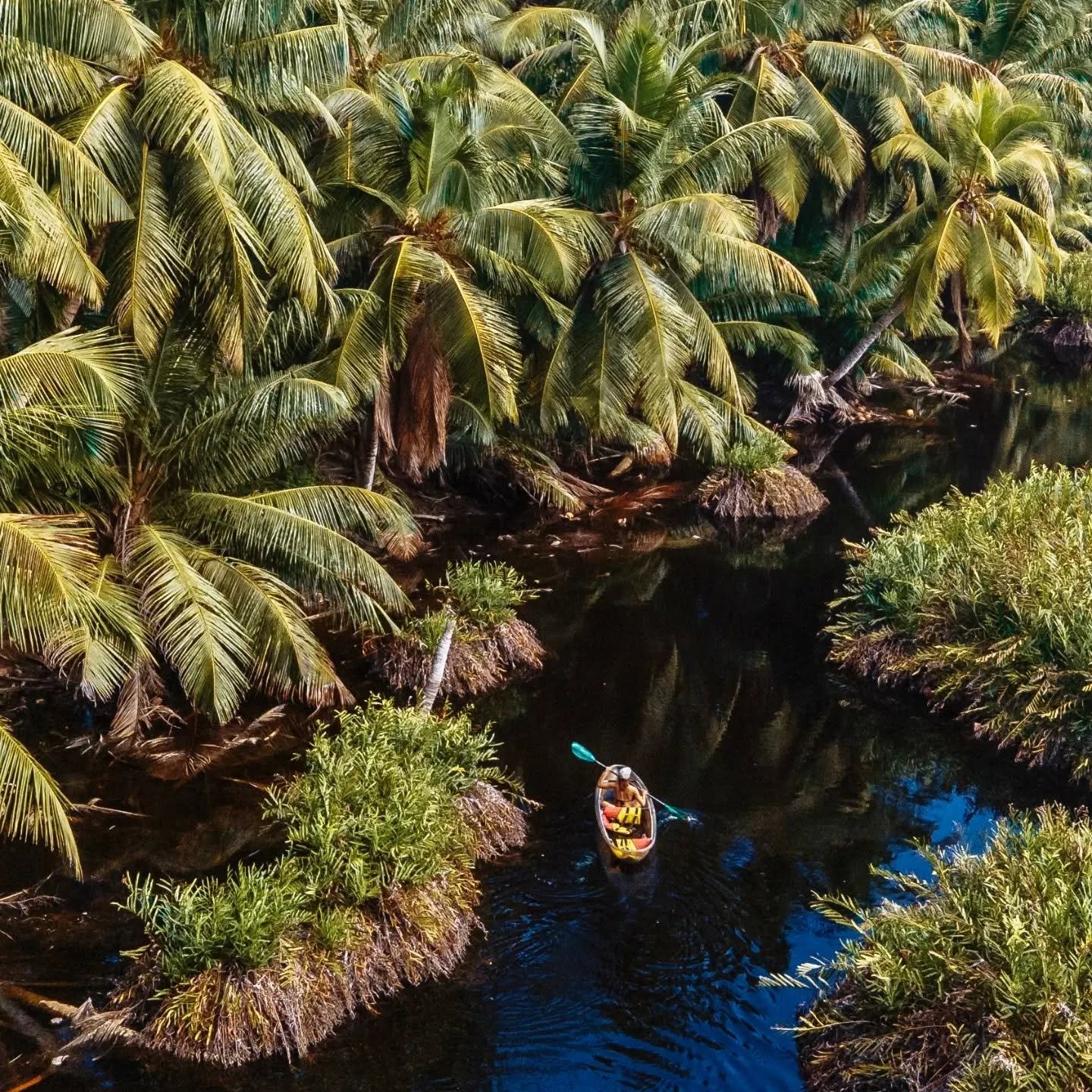 Ilmakuva läpinäkyvästä kajakista kapeassa mangroveväylässä