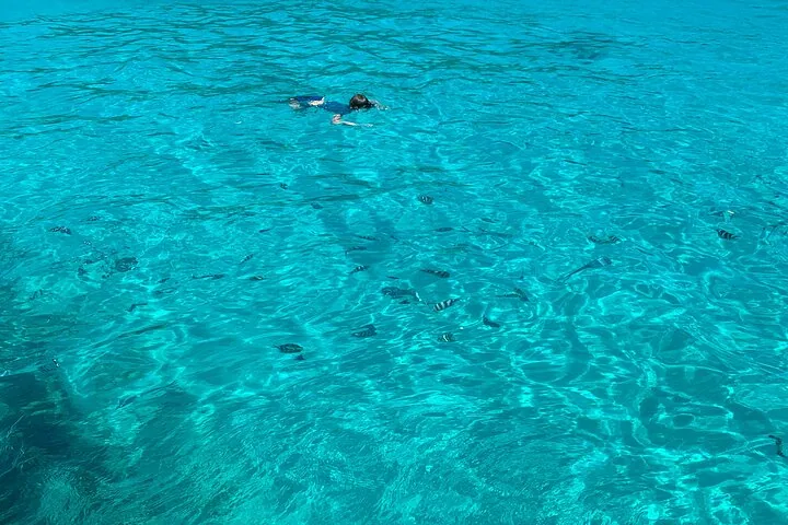 Anse Major ja Baie Ternay, snorklausretki veneellä, kuva 4