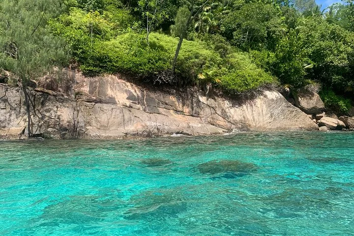 Anse Major ja Baie Ternay, snorklausretki veneellä, kuva 6